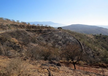 Zona de Turón afectada por el incendio forestal (JUNTA)