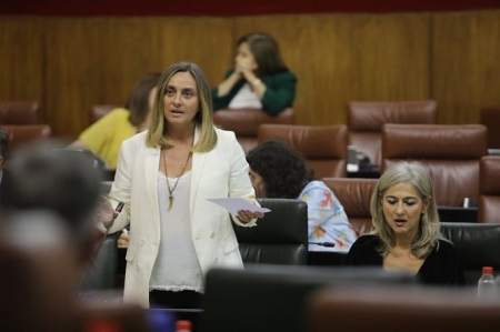 Marifran Carazo, Consejera de Fomento en la Junta de Andalucia (JUNTA)