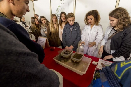 Ediciones anteriores del evento (UGR)