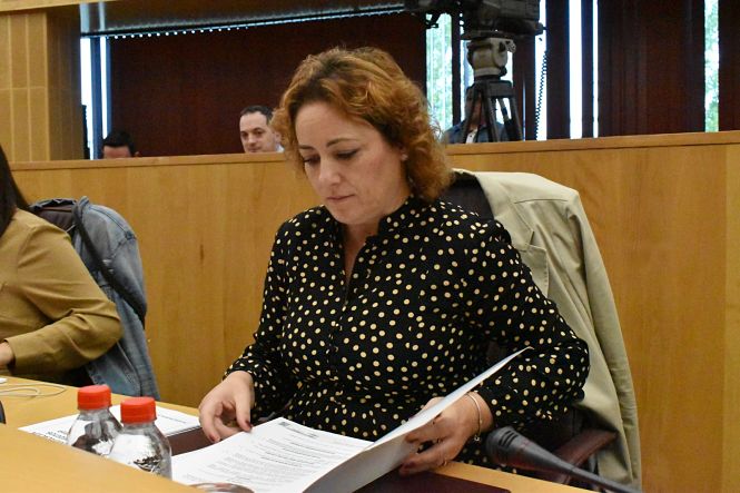 Mari Carmen Pérez, Diputada provincial de IU (IU)