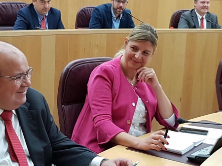 Inmaculada Fernández, Diputada Provincial del PP (PP)