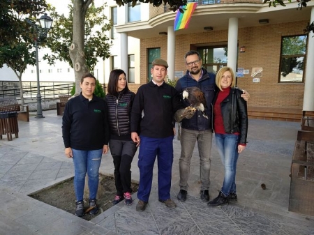 Responsables de Geinsa Medio Ambiente y el concejal de Medio Ambiente con uno de los halcones que espantará a las palomas (AYTO. VEGAS DEL GENIL)
