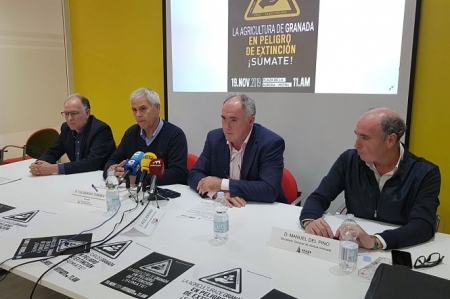 Sector hortofrutícola prepara su manifestación 