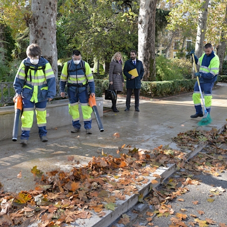 Campaña de recogida de hojas en la capital (JAVIER ALGARRA) 
