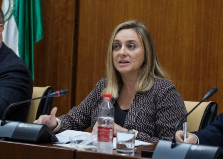 Marifrán Carazo en el parlamento de Andalucia (JUNTA)