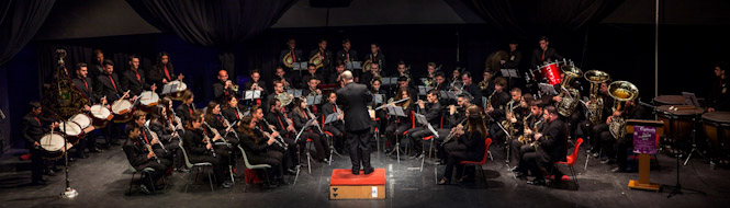 Banda Municipal de Música de Cúllar Vega 