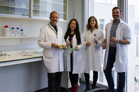 Investigadores que han realizado el estudio (UGR)