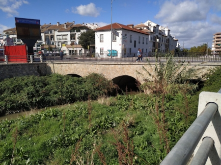 Río Monachil a su paso por Armilla (CS)