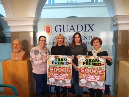 Presentación de la campaña navideña (AYTO. GUADIX) Presentación de la campaña navideña (AYTO. GUADIX)