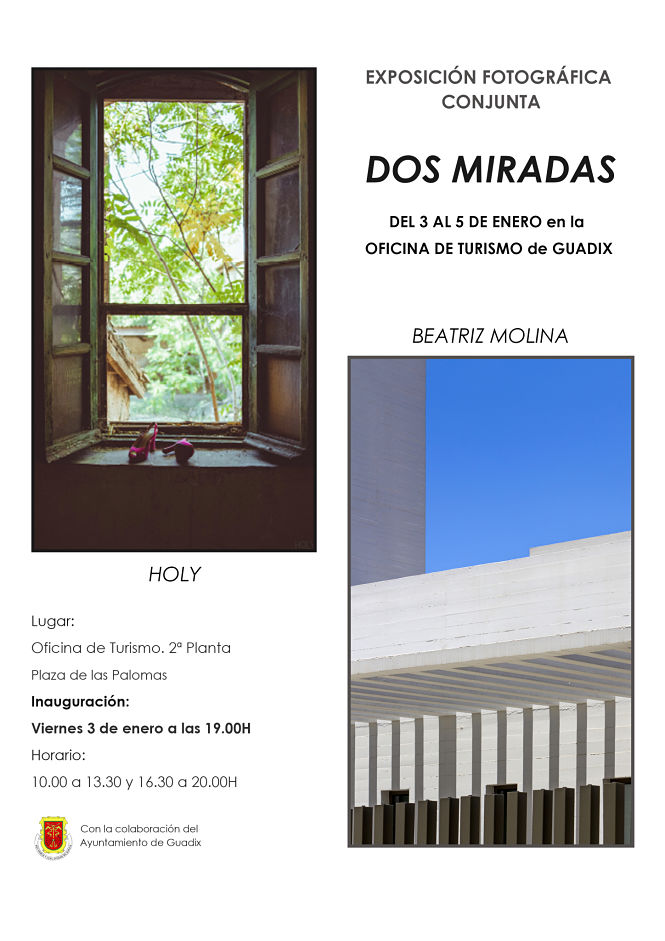 Cartel anunciador de la exposición (AYTO. GUADIX)