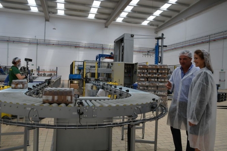 Nueva planta de Espadafor (JUNTA)