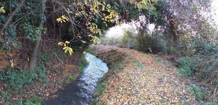 Una de las acequias de Monachil (AYTO. MONACHIL)