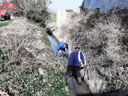 Limpieza de acequias en la vega tradicional de Baza (AGAPRO)