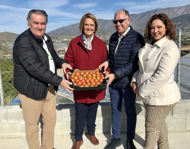 García Chamorro con tomate Amela (AYTO. MOTRIL) 