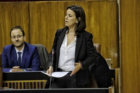 Ana Vanessa García en el parlamento andaluz (PP)