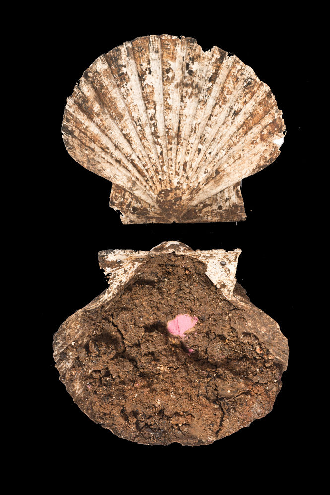 Estuche de maquillaje que se está analizando 