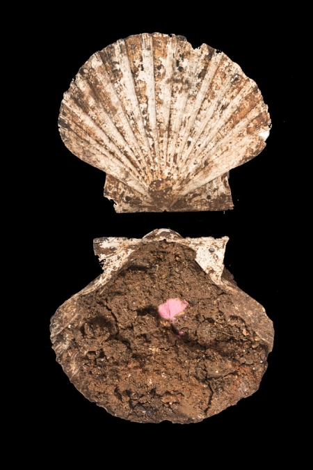 Estuche de maquillaje que se está analizando 