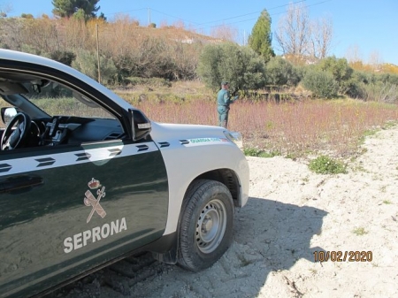 Imagen de las investigaciones realizadas en el vivero (GUARDIA CIVIL) Imagen de las investigaciones realizadas en el vivero (GUARDIA CIVIL)