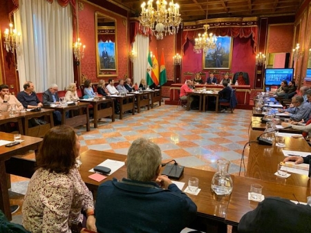 Sesión cosntitutiva del Consejo de Participación Vecinal (AYTO. GRANADA)