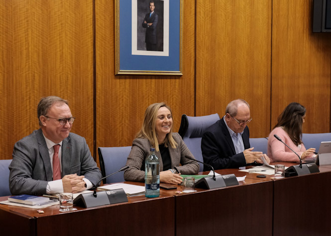 Imagen de la Comisión de Fomento (JUNTA) 