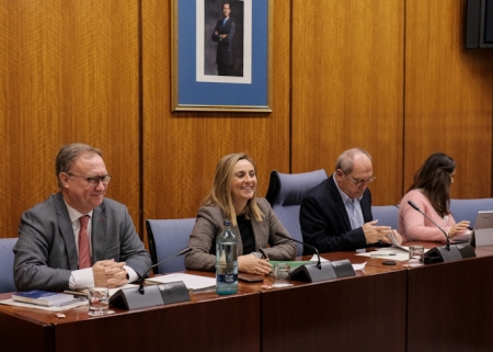 Imagen de la Comisión de Fomento (JUNTA) 