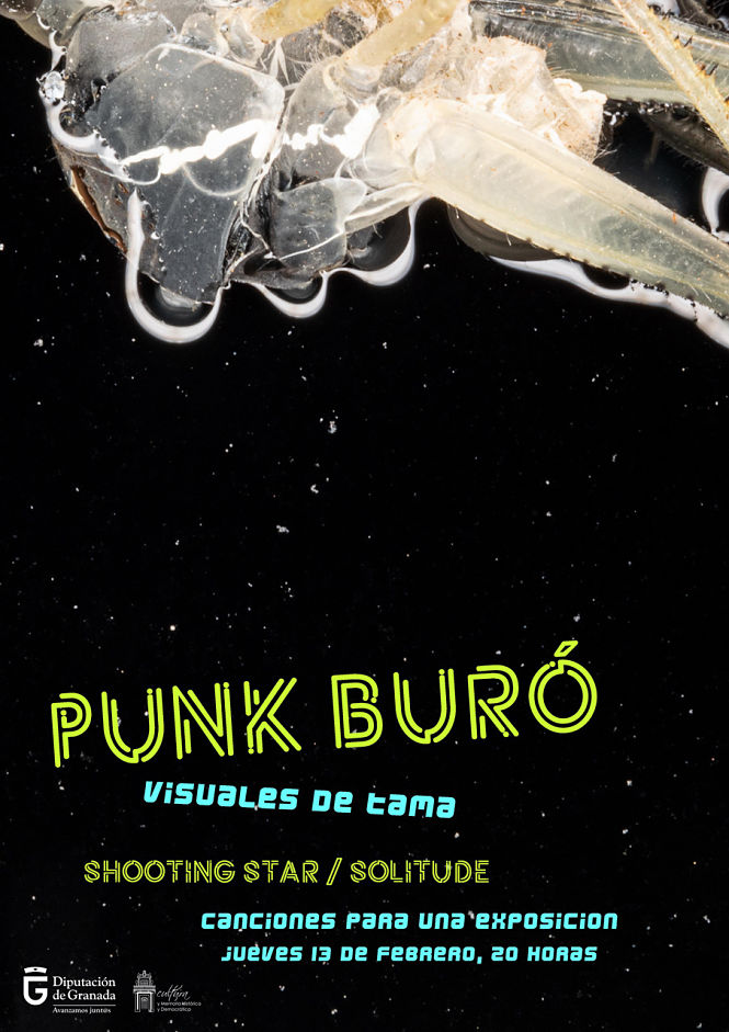 Concierto de Punk Buro