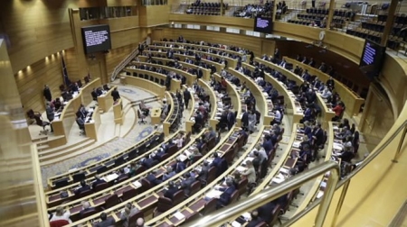 Imagen de la sesión del senado (VOX) Imagen de la sesión del senado (VOX)