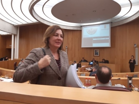 Cristina Jiménez, durante un Pleno de Diputación (VOX) 