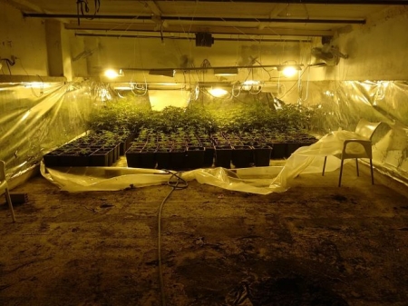 Foto de archivo de una plantación de marihuana intervenida (GUARDIA CIVIL)