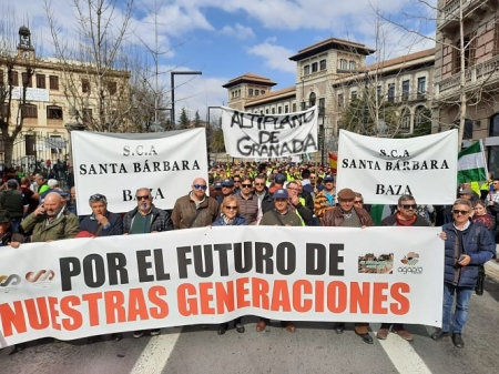 Representación de Baza en la manifestación (AYTO. BAZA) Representación de Baza en la manifestación (AYTO. BAZA)