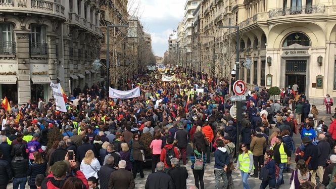 Imagen de la manifestación en el centro de Granada (ÁLEX CÁMARA/EUROPA PRESS)
