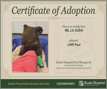 Certificado que acredita la adopción del Koala (EXAMS ANDALUCIA)