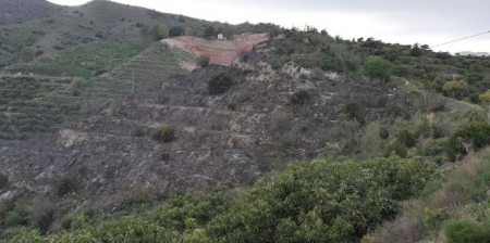 Zona quemada en Almuñécar (AYTO. ALMUÑÉCAR) Zona quemada en Almuñécar (AYTO. ALMUÑÉCAR)