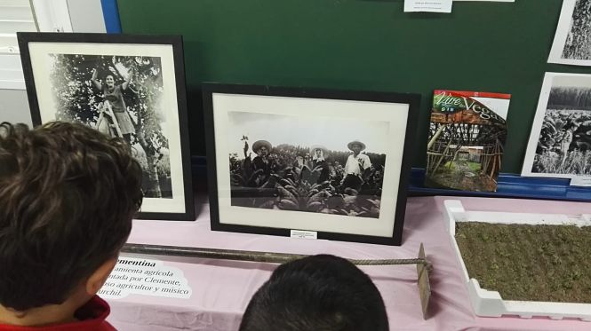 Proyecto educativo “Sentir y vivir el patrimonio” (AYTO. VEGAS DEL GENIL) 