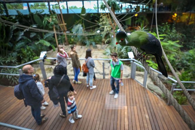 Visitantes en el Biodomo (PARQUE DE LAS CIENCIAS)