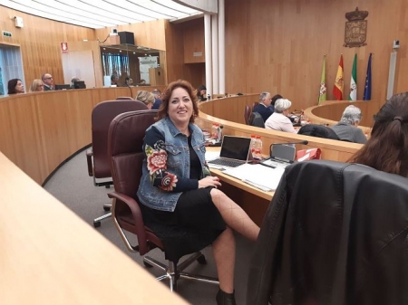 Mari Carmen Pérez, Diputada Provincial de IU (IU)