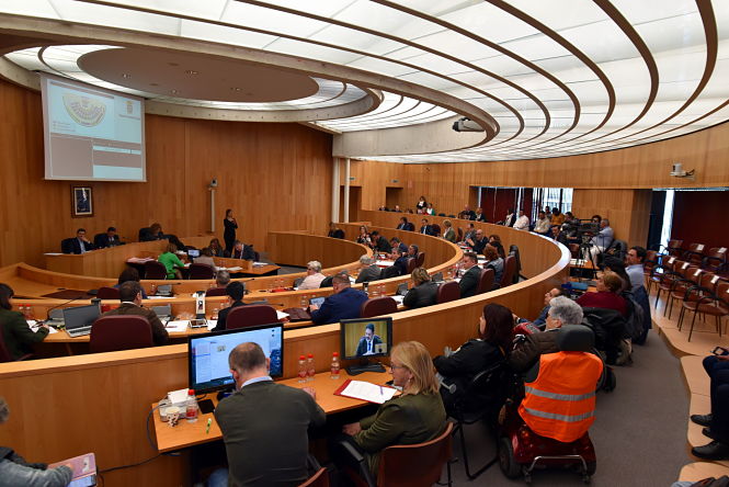 Imagen del pleno de la Diputación de Granada (M. A. MUÑOZ / DIPGRA) 