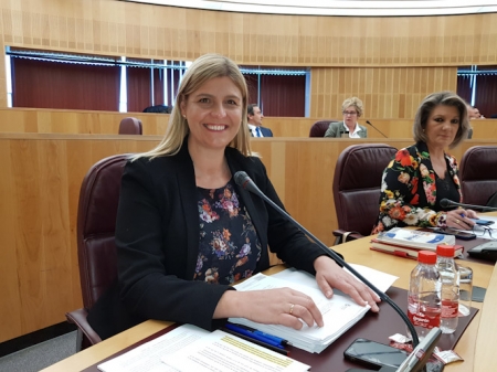 Inmaculada Hernández es la portavoz del PP en Diputación (PP) 