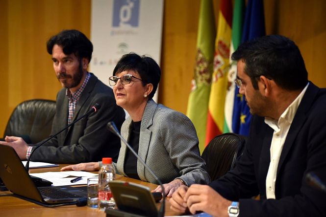 Mercedes Garzón, Diputada de igualdad (DIPUTACIÓN)