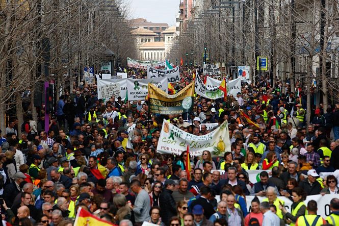 Imagen de la manifestación celebrada por los agricultores en Granada en febrero (ÁLEX CÁMARA/EUROPA PRESS)