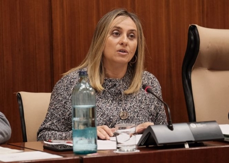 Marifrán Carazo en la comsiiónd e Fomento (JUNTA) Marifrán Carazo en la comsiiónd e Fomento (JUNTA)