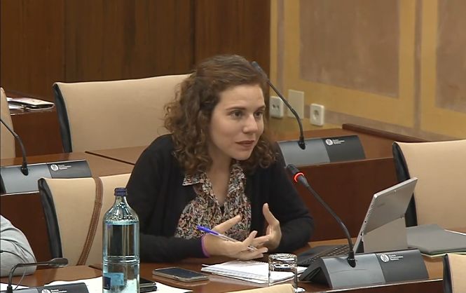 La parlamentaria Ana Villaverde en la comisión de Fomento (ADELANTE)