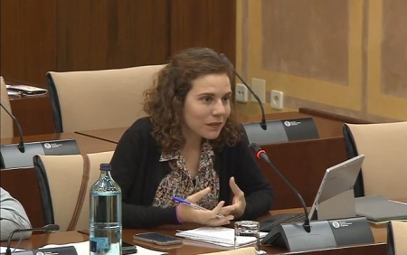 La parlamentaria Ana Villaverde en la comisión de Fomento (ADELANTE)