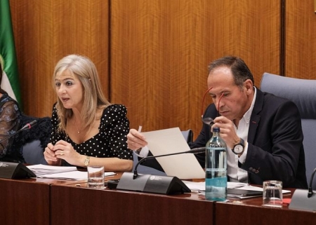 Comparecencia de Patricia del Pozo en la comisión de cultura (PARLAMENTO DE ANDALUCÍA) 