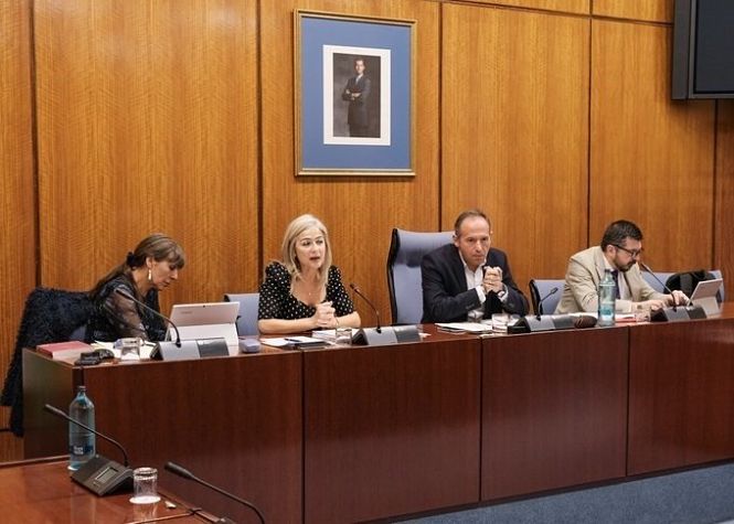 Patricia del Pozo en la Comisión de Cultura en el Parlamento (JUNTA DE ANDALUCÍA) 