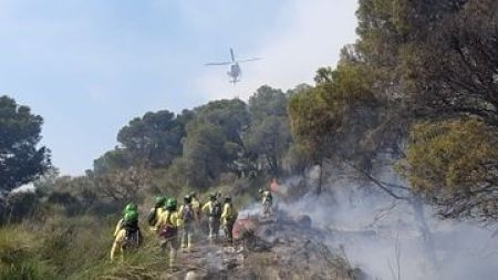 Bomberos en labores de extinción en el incendio de Vélez de Benaudalla (INFOCA) 