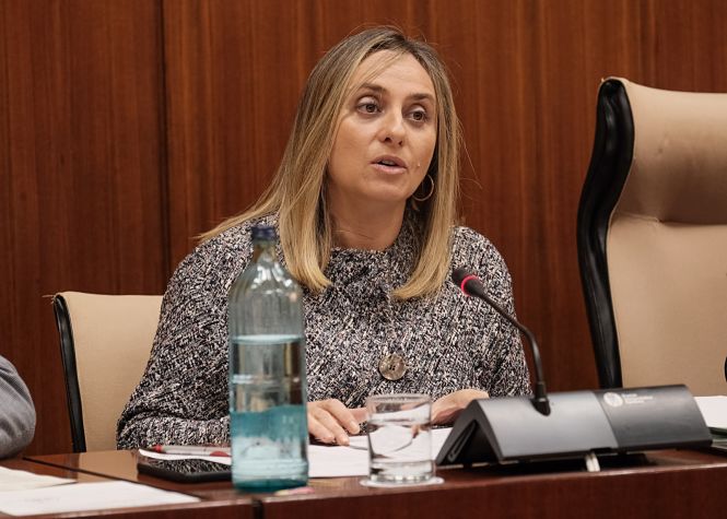 Marifrán Carazo en la comsiiónd e Fomento (JUNTA)