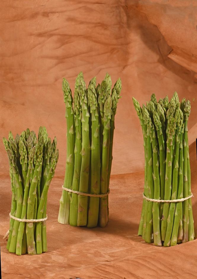 Espárrago verde (COOPERATIVAS AGRO-ALIMENTARIAS DE GRANADA) 