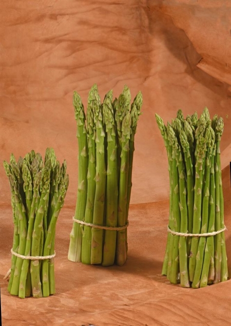 Espárrago verde (COOPERATIVAS AGRO-ALIMENTARIAS DE GRANADA) 