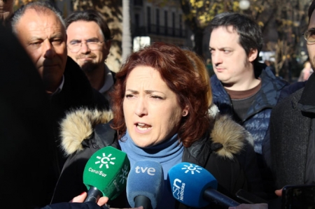 Mari Carmen Pérez, Diputada Provincial de IU (IZQUIERDA UNIDA) 